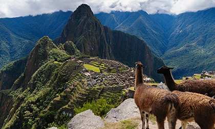 Voyage au Pérou, le Machu Picchu