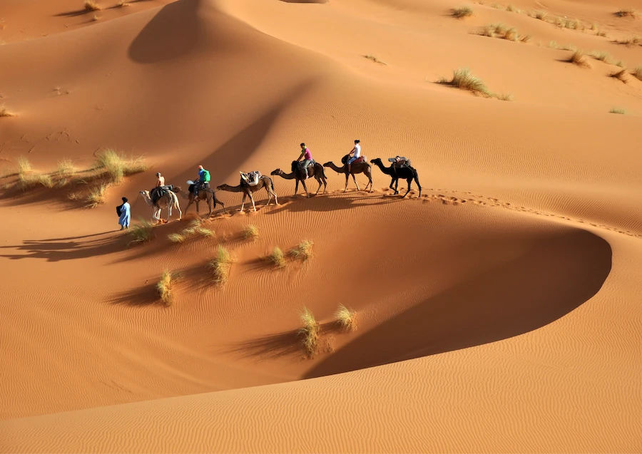 Voyage amis et famille Marrakech et désert