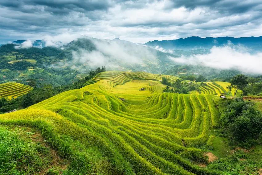 Rizières de Hoang Su Phi