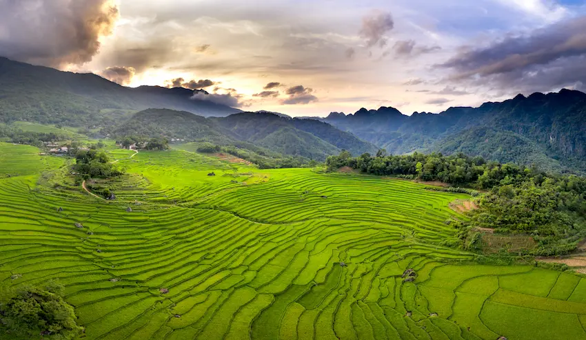 Rizières de Pu Luong
