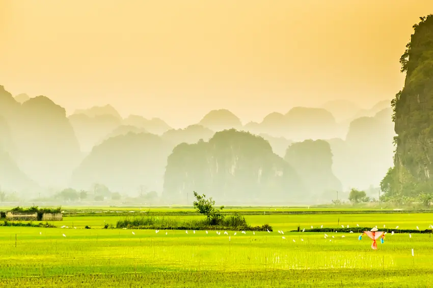 Rizières de Tam Coc