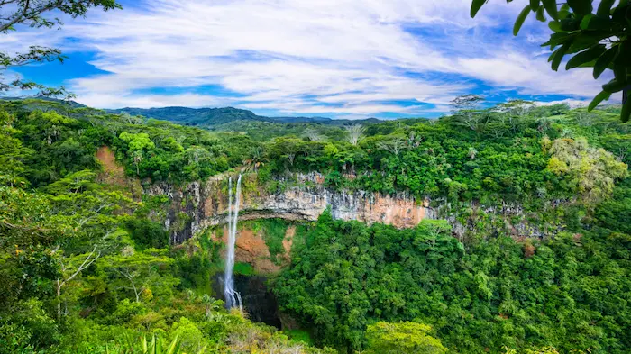 Vue sur une cascade à travers une forêt tropicale verdoyante