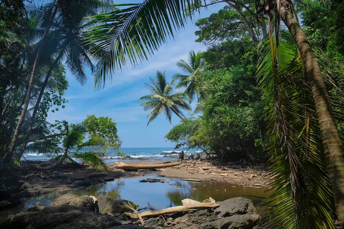 vue sur la plage d’Osa au Costa Rica avec palmiers