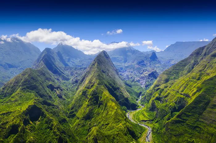 vue aérienne sur la forêt luxuriante de l’île de la réunion