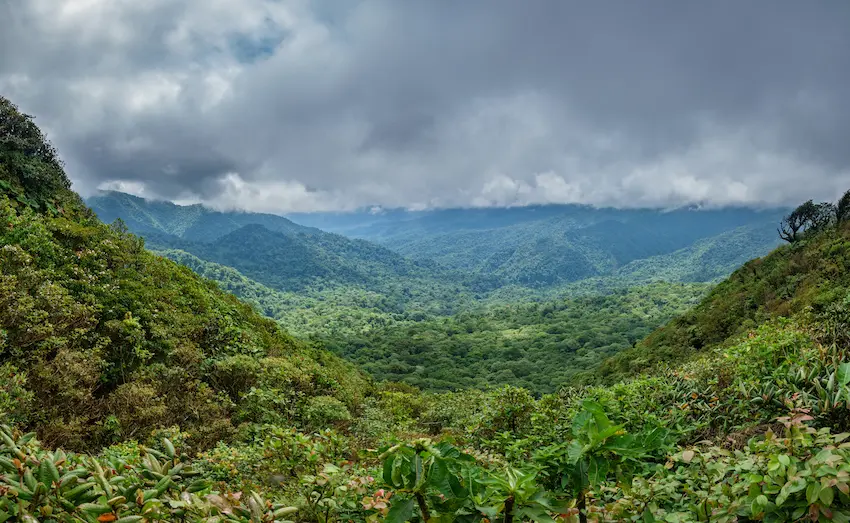 Forêt du Costa Rica avec des nuages