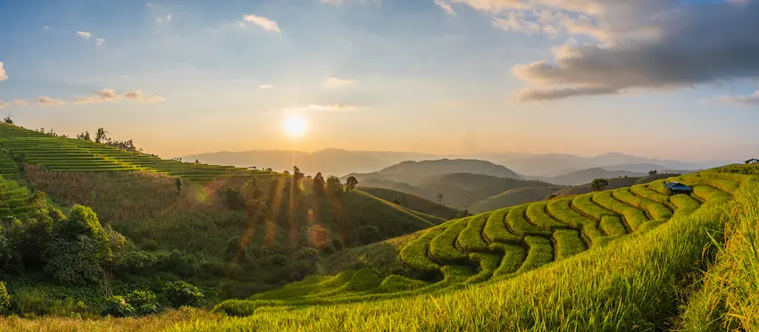 Paysages des rizières de Bali pendant un coucher de soleil