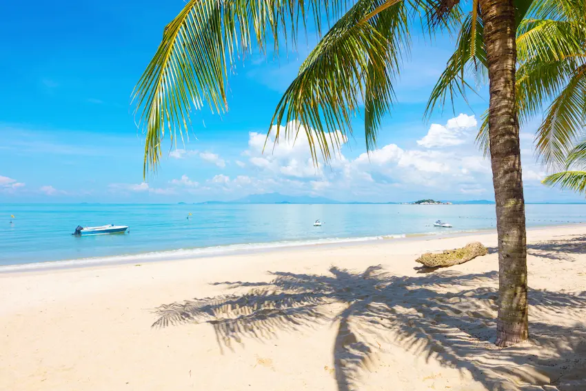 plage paradisiaque avec un bateau pour un voyage incentive