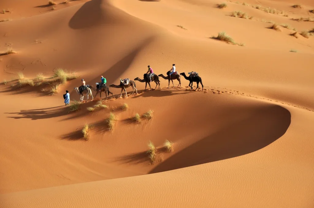 Le Sahara Marocain