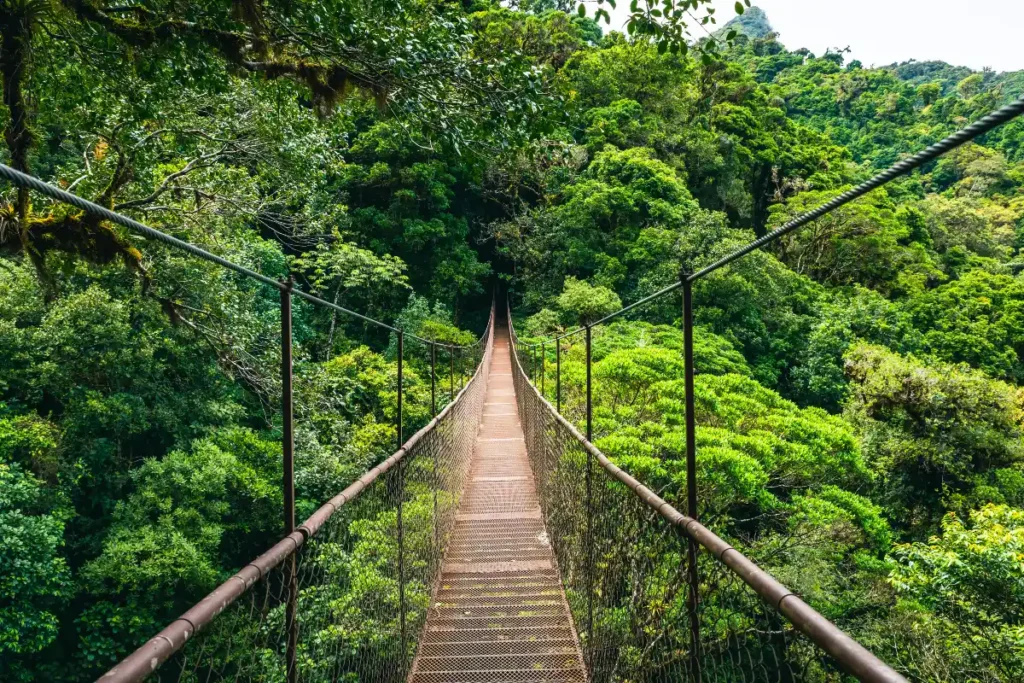 forêt tropicale de Monteverde, Costa Rica, voyage de groupe éco-responsable